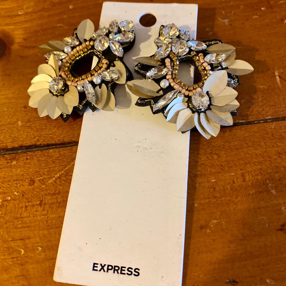 Express Earrings